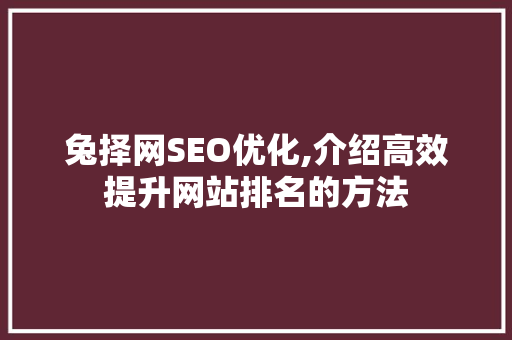 兔择网SEO优化,介绍高效提升网站排名的方法