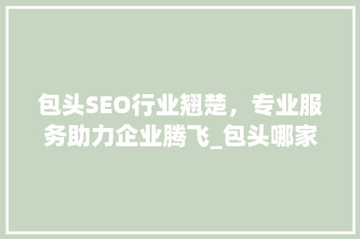 包头SEO行业翘楚，专业服务助力企业腾飞_包头哪家SEO专业