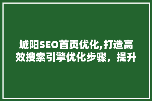 城阳SEO首页优化,打造高效搜索引擎优化步骤，提升网站排名