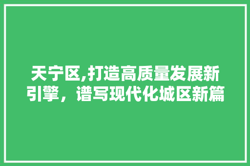 天宁区,打造高质量发展新引擎，谱写现代化城区新篇章