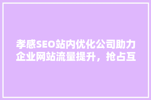 孝感SEO站内优化公司助力企业网站流量提升，抢占互联网市场先机