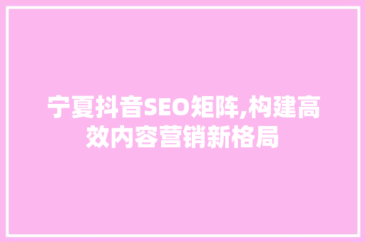 宁夏抖音SEO矩阵,构建高效内容营销新格局