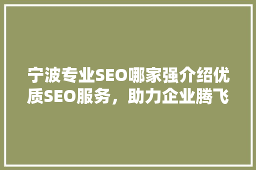 宁波专业SEO哪家强介绍优质SEO服务，助力企业腾飞