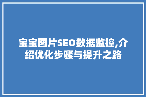 宝宝图片SEO数据监控,介绍优化步骤与提升之路