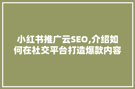 小红书推广云SEO,介绍如何在社交平台打造爆款内容