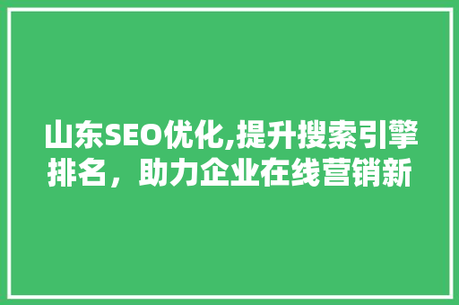 山东SEO优化,提升搜索引擎排名，助力企业在线营销新高度
