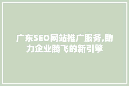 广东SEO网站推广服务,助力企业腾飞的新引擎