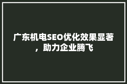 广东机电SEO优化效果显著，助力企业腾飞