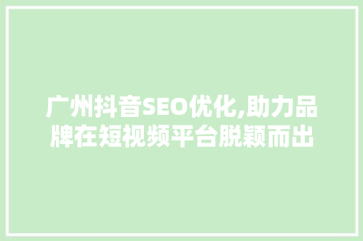 广州抖音SEO优化,助力品牌在短视频平台脱颖而出