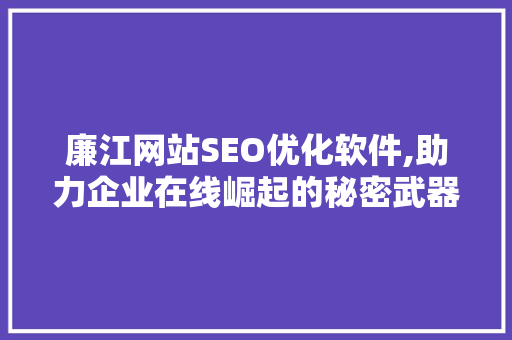 廉江网站SEO优化软件,助力企业在线崛起的秘密武器