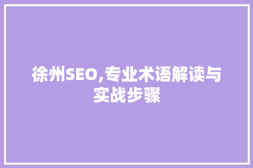 徐州SEO,专业术语解读与实战步骤