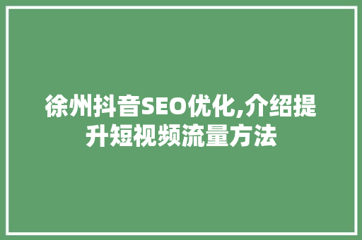徐州抖音SEO优化,介绍提升短视频流量方法