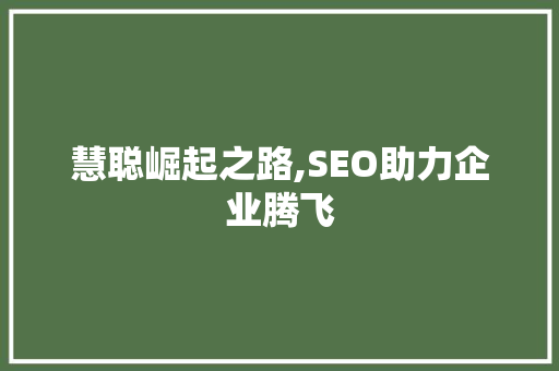 慧聪崛起之路,SEO助力企业腾飞
