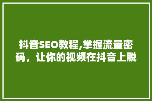 抖音SEO教程,掌握流量密码，让你的视频在抖音上脱颖而出