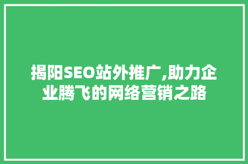 揭阳SEO站外推广,助力企业腾飞的网络营销之路
