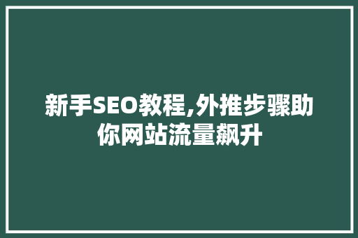 新手SEO教程,外推步骤助你网站流量飙升