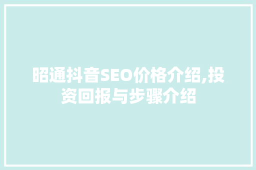 昭通抖音SEO价格介绍,投资回报与步骤介绍