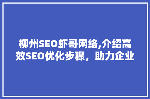 柳州SEO虾哥网络,介绍高效SEO优化步骤，助力企业腾飞