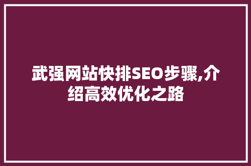 武强网站快排SEO步骤,介绍高效优化之路