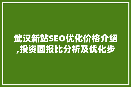 武汉新站SEO优化价格介绍,投资回报比分析及优化步骤