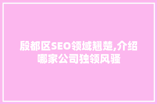 殷都区SEO领域翘楚,介绍哪家公司独领风骚