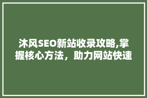 沐风SEO新站收录攻略,掌握核心方法，助力网站快速上线