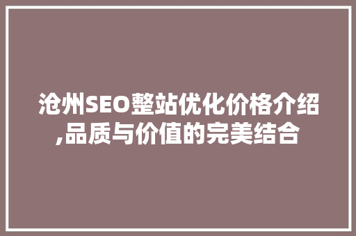 沧州SEO整站优化价格介绍,品质与价值的完美结合