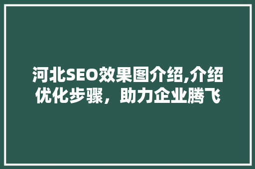 河北SEO效果图介绍,介绍优化步骤，助力企业腾飞