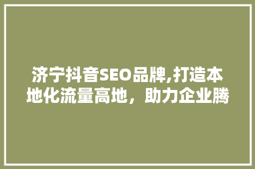 济宁抖音SEO品牌,打造本地化流量高地，助力企业腾飞