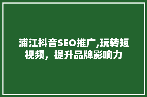 浦江抖音SEO推广,玩转短视频，提升品牌影响力