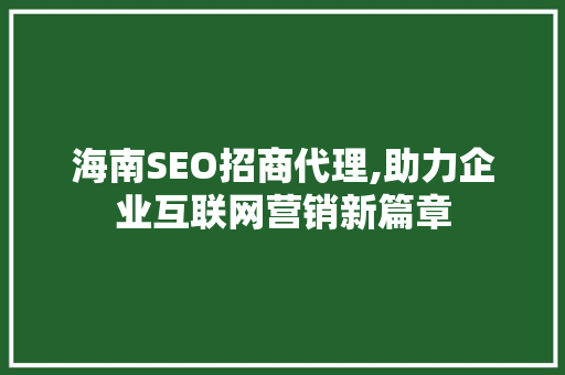 海南SEO招商代理,助力企业互联网营销新篇章
