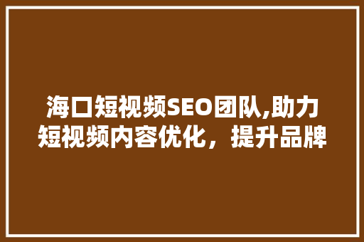 海口短视频SEO团队,助力短视频内容优化，提升品牌影响力