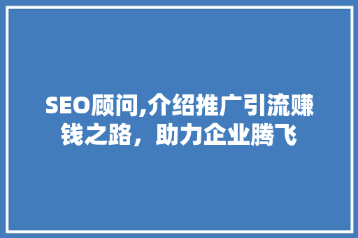 SEO顾问,介绍推广引流赚钱之路，助力企业腾飞