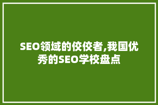 SEO领域的佼佼者,我国优秀的SEO学校盘点