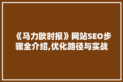 《马力欧时报》网站SEO步骤全介绍,优化路径与实战方法