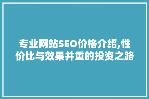 专业网站SEO价格介绍,性价比与效果并重的投资之路