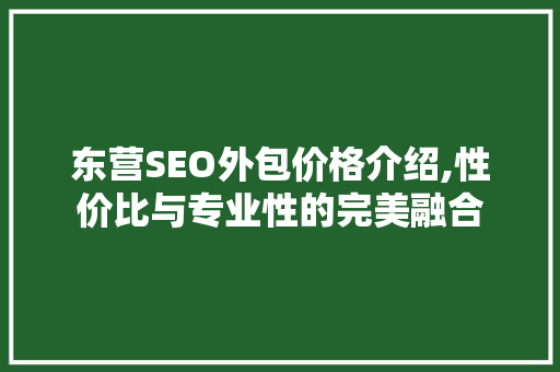 东营SEO外包价格介绍,性价比与专业性的完美融合