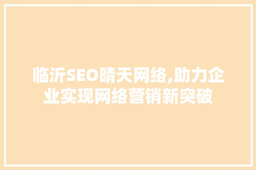 临沂SEO晴天网络,助力企业实现网络营销新突破