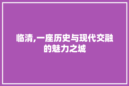 临清,一座历史与现代交融的魅力之城