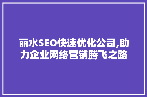 丽水SEO快速优化公司,助力企业网络营销腾飞之路