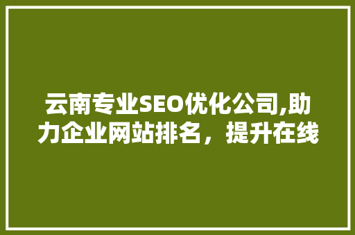 云南专业SEO优化公司,助力企业网站排名，提升在线竞争力