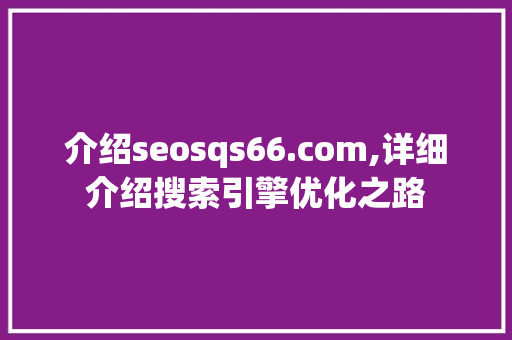 介绍seosqs66.com,详细介绍搜索引擎优化之路