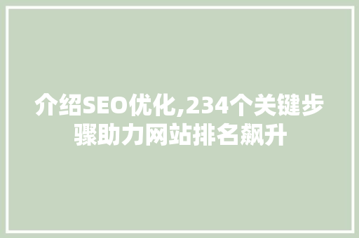 介绍SEO优化,234个关键步骤助力网站排名飙升