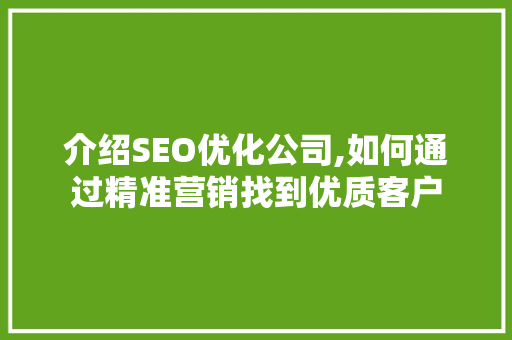 介绍SEO优化公司,如何通过精准营销找到优质客户