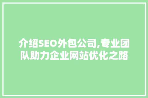 介绍SEO外包公司,专业团队助力企业网站优化之路
