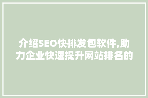 介绍SEO快排发包软件,助力企业快速提升网站排名的秘密武器