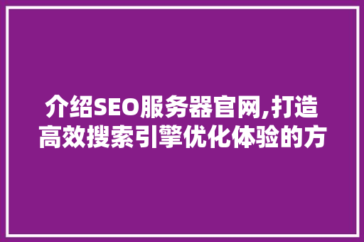 介绍SEO服务器官网,打造高效搜索引擎优化体验的方法