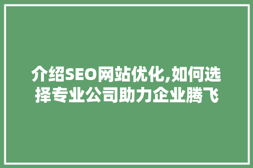介绍SEO网站优化,如何选择专业公司助力企业腾飞