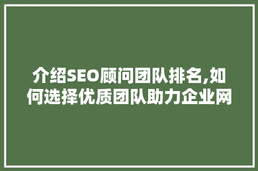 介绍SEO顾问团队排名,如何选择优质团队助力企业网站优化