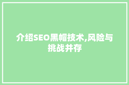 介绍SEO黑帽技术,风险与挑战并存